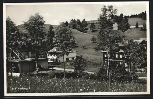 AK Hemberg, Ortspartie mit Wohnhäusern