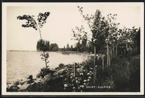 AK Saint-Sulpice /VD, Uferpartie