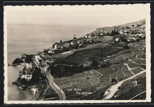 AK Rivaz, Vue générale