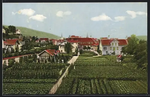 AK Sarnen, Frauenkloster mit Garten