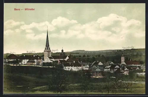 AK Bero-Münster /Luzern, Blick zur Kirche
