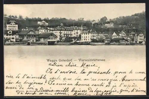AK Weggis Unterdorf, Panoramablick vom Vierwaldstättersee aus gesehen