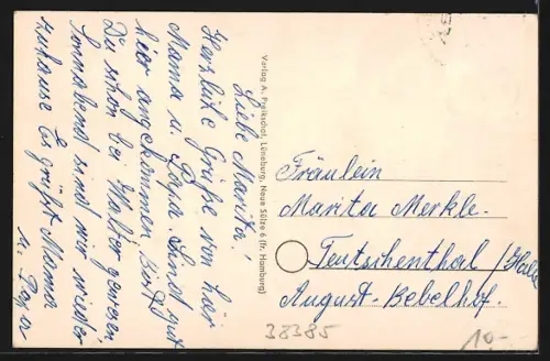 AK Ingeleben, Strasse am Dorfrand