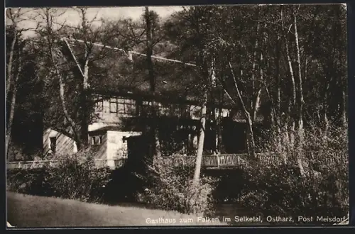 AK Meisdorf /Ostharz, Gasthaus zum Falken im Selketal