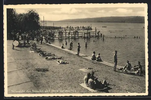 AK Seeburg am Süssen See, Teilansicht des Strandes und Blick auf den See