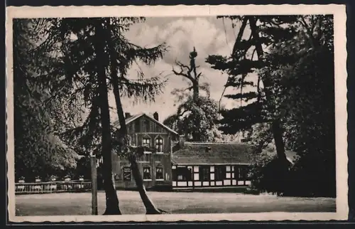 AK Sieglitzer Berg, Waldgasthaus Sieglitzer Berg von Ernst Lattolf