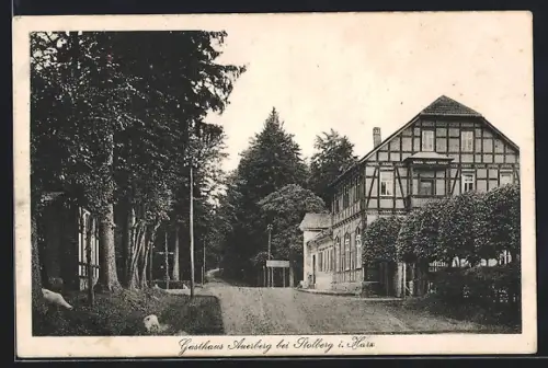 AK Stolberg i. Harz, Gasthaus Auerberg