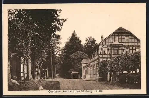 AK Stolberg i. Harz, Gasthaus Auerberg bei Stolberg