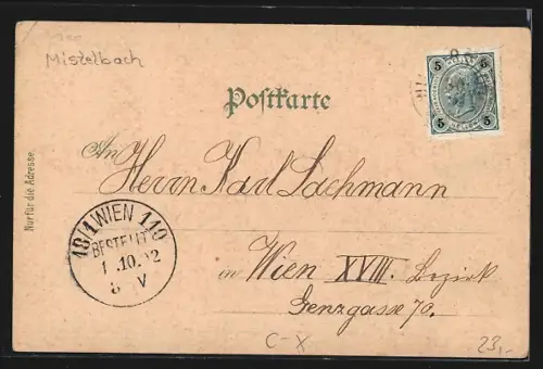 Lithographie Wilfersdorf /Weinviertel, Fürstliches Schloss, Marktplatz, Villa