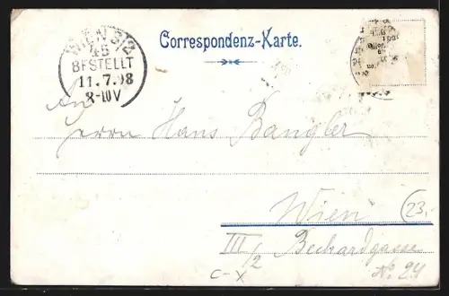 Lithographie Poysbrunn, Ortsansicht von oben, Ruine Falkenstein, Schloss, Blumen