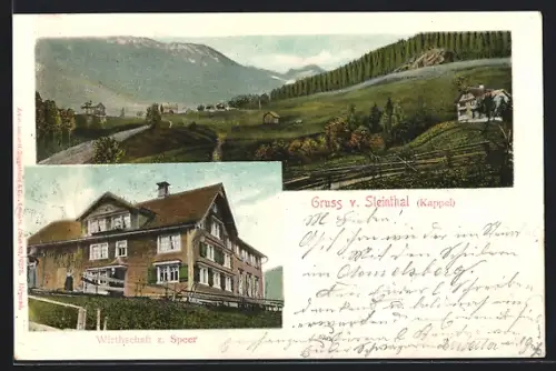 AK Ebnat-Kappel, Steinthal, Gasthaus zum Speer, Panorama