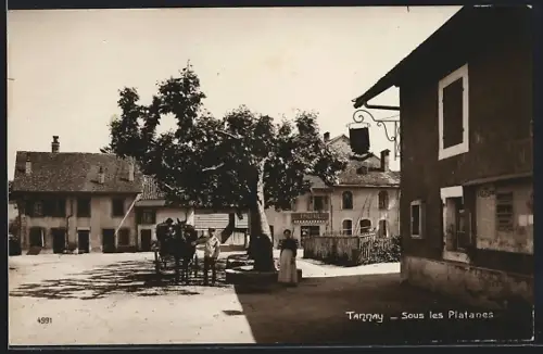 AK Tannay, Un Rue, Sous les Platanes