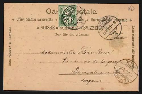 Lithographie Yverdon, Les Casernes, Le Collège, Monument Pestalozzi, Vue Générale