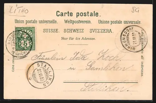 Lithographie Rapperswil /SG, Panoramablick auf die Stadt, Schloss