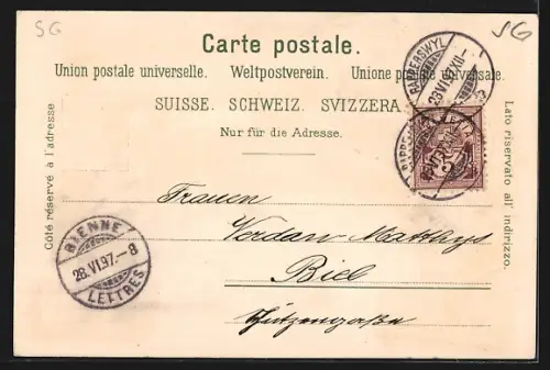 Lithographie Rapperswyl, Bahnhof, Hôtel Du Lac, Aufstieg zum Lindenhof, Schloss