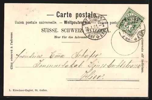 Passepartout-AK St. Gallen, Partie aus dem Stadtpark, Rorschacherstrasse