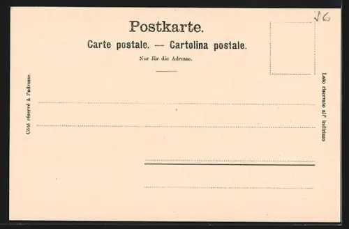 AK Uzwil, Handlung von Victor Pfister, Gasthaus, Totalansicht