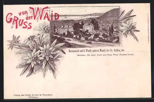 Lithographie St. Gallen, Kuranstalt auf der Waid, Bes. Dr. med. Dock und Frau Wwe. Fischer-Dock