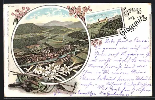 Lithographie Gloggnitz, Schloss Wartenstein, Ortsansicht aus der Vogelschau