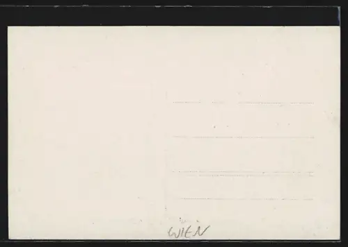 AK Wien, Wiener Frauenheim, Einweihung 1907, Geistliche am Eingang