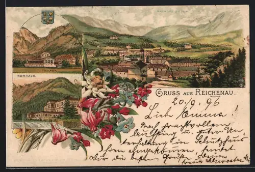 Lithographie Reichenau an der Rax, Hotel Thalhof, Kurhaus, Ortsansicht mit Raxalpe