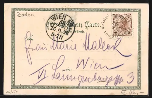 Lithographie Weissenbach a.d. Triesting, Fuggers Fremdenheim, Triestingheim, Herz-Jesu-Kirche, Ruine Neuhaus