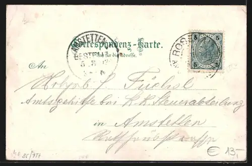 Lithographie Waidhofen a. d. Ybbs, Rothschild-Schloss, Ortsansicht gegen die Berge