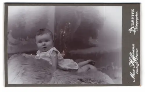 Fotografie Max Hoffmann, Pulsnitz, Bürgergarten, Porträt eines Kleinkinds