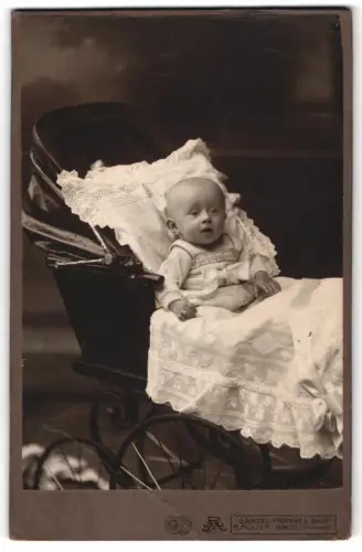 Fotografie Rudolf Rob. Müller, Görlitz, Am Dresdnerplatz, Porträt eines Kleinkindes im Kinderwagen