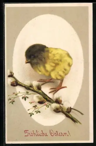 Präge-AK Osterküken mit Weidenkätzchen, Fröhliche Ostern