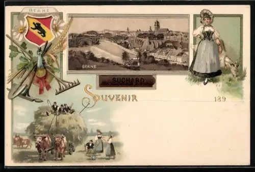 AK Bern, Gesamtansicht, heubeladenes Ochsengespann, Frau in Tracht