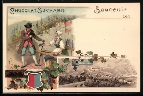 Lithographie Bellinzona, Ortsansicht aus der Vogelschau