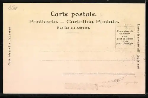 Lithographie Bellinzona, Ortsansicht aus der Vogelschau