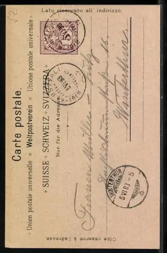 Lithographie Rigi, Rigi-Kaltbad, Rigi-Klösterli, Rigi-Staffel, Rigi-Kulm, Ansicht gegen Zug, Weggis am Rigi