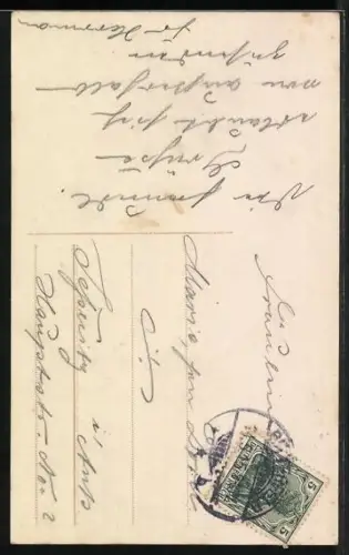 Foto-AK HB Nr. 6523/1: Porträt einer Dame mit Blume