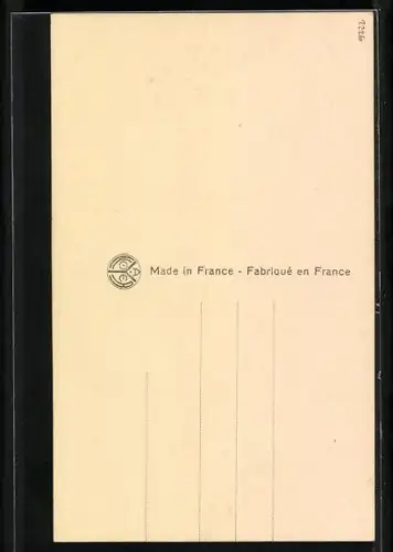 Foto-AK A. Noyer Nr. 5010: Junges Paar inmitten von Felsen