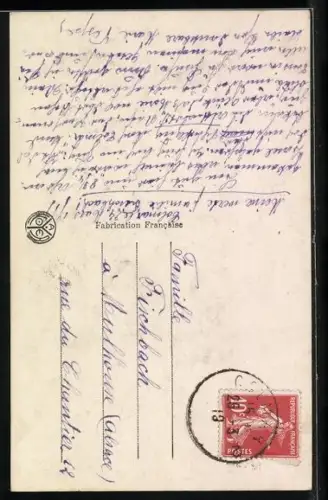 Foto-AK A. Noyer Nr. 2670: Mädchen vor einer Ortschaft, Fleurs de France