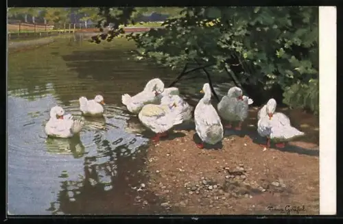 Künstler-AK G. Hirth`s Verlag, Serie VIII, 6.: Am Ententeiche