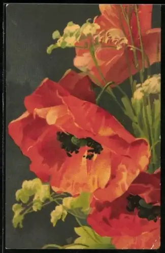 Künstler-AK Catharina Klein: Rote Mohnblumen und zarte weisse Blüten
