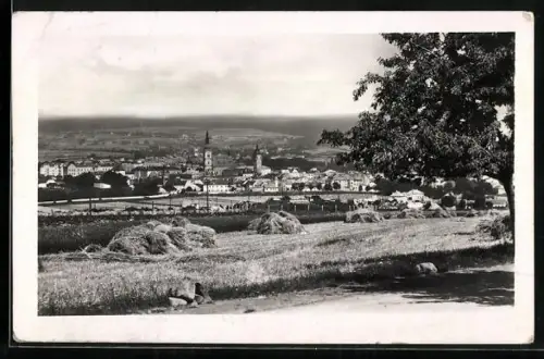 AK Wischau / Vyskov, Celkový pohled