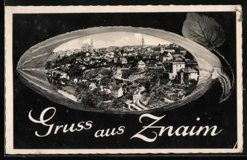 AK Znaim a. d. Thaya, Ortsansicht in einer Frucht