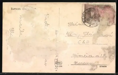 AK Domazlice /Sumava, Strassenpartie mit Torturm