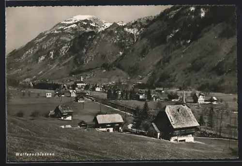 AK Wolfenschiessen, Gesamtansicht mit Bergblick