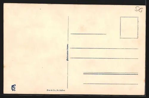 AK Weesen, Totalansicht mit Wallensee