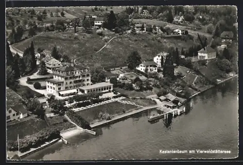 AK Kastanienbaum am Vierwaldstättersee, Totalansicht, Fliegeraufnahme