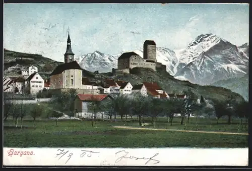 AK Sargans, Ortsansicht