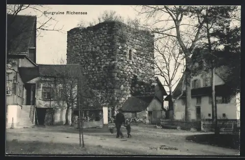 AK Hitzkirch /LU, Burgruine Richensee, Panorama