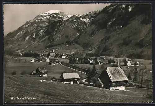 AK Wolfenschiessen, Ortsansicht von einer Wiese aus