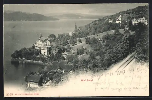 AK Walchwil, Ortsansicht aus der Vogelschau