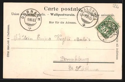 AK Walchwil, Ortsansicht aus der Vogelschau